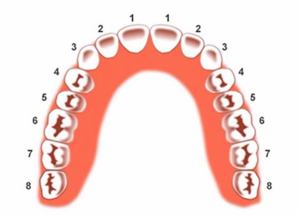 Trồng răng số 5 phương pháp nào tốt nhất? Bao nhiêu tiền?